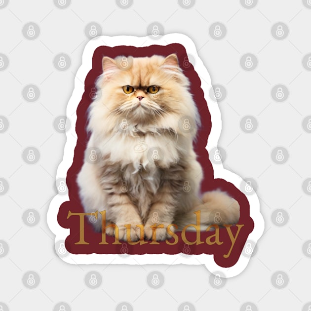 Thursday cat. Still holding! Magnet by Cavaleyn Designs