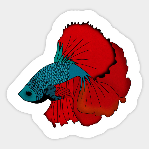 Siamese Fighting Fish Colorful Betta Fish Graphic