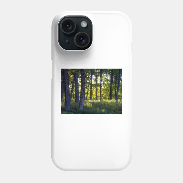 Illuminated Woods Phone Case by bgaynor