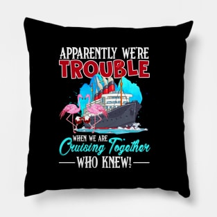 apparently were trouble when we are cruising together who knew Pillow