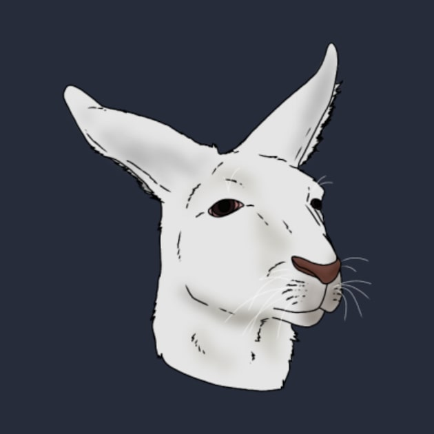 Albino Kangaroo by Animals shop