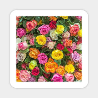 Roses Magnet