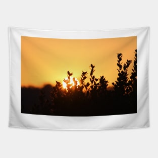 Rising Sun Tapestry