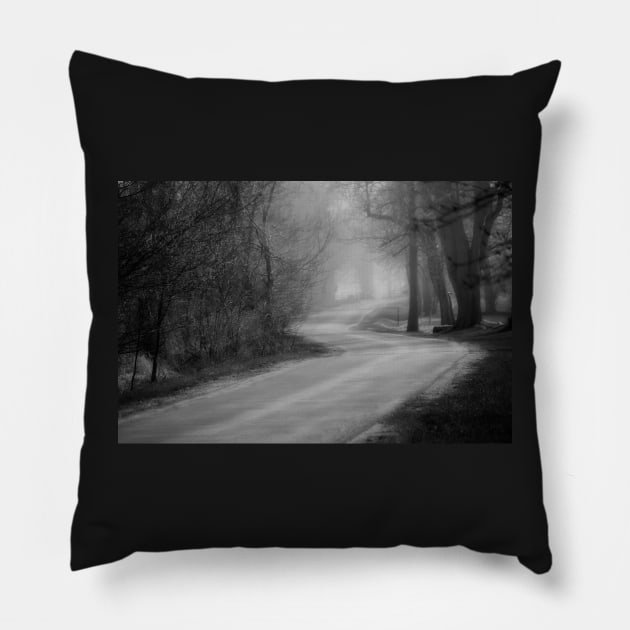 Country Road Pillow by photoclique