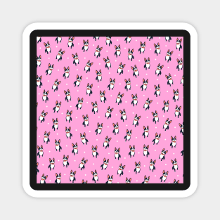 Cute Boston Terrier Pattern Pink Magnet