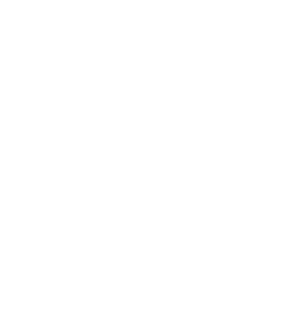 Storj Magnet