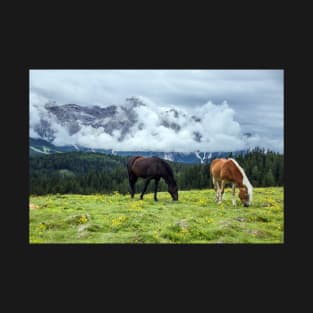 Horses in the Mountain T-Shirt