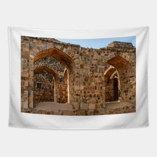 Purana Qila 02 Tapestry