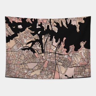Sydney Map Pattern in Soft Pink Pastels Tapestry