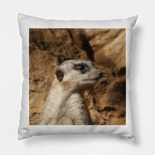 Meerkat 029 Pillow