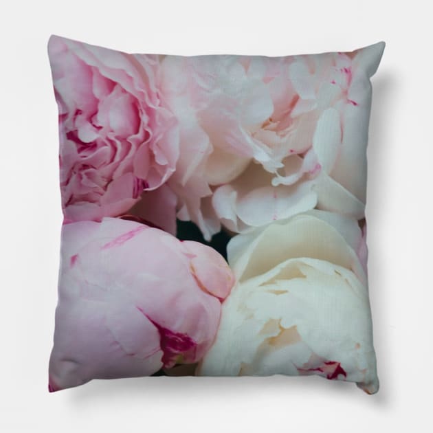 Pink and White Peonies Pillow by Tingsy