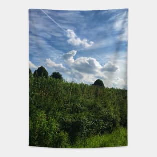 Scenery of beautiful Schleswig-Holstein cloudscape, North Germany Tapestry