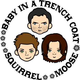 TEAM FREE WILL Magnet