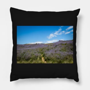 Lupine blooming on the hills Pillow