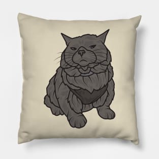 Big Black Cat Pillow