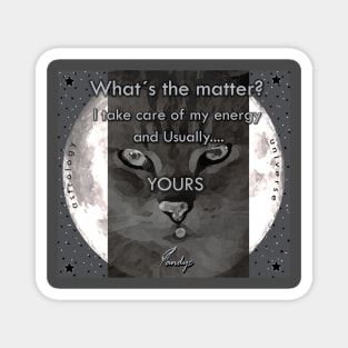 CAT POWER B Magnet