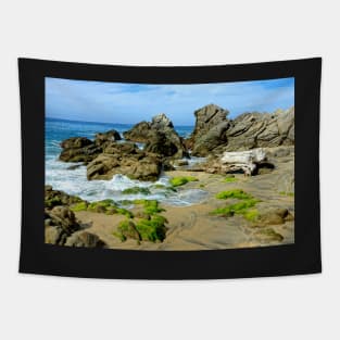 Vagues sur rochers Tapestry