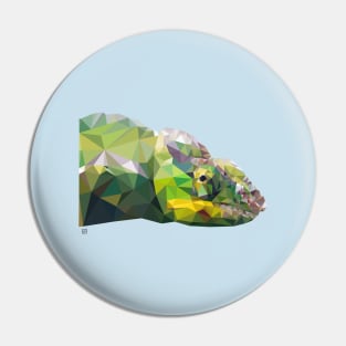 LP Chameleon Pin