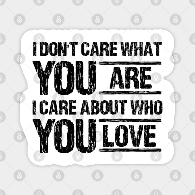 i don't care what you are i care about who you love Magnet by bisho2412