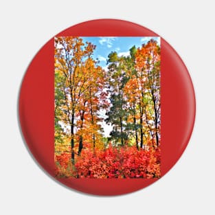 Fall Colors Pin