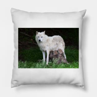 Remus and Romulus - Arctic Wolf Pillow