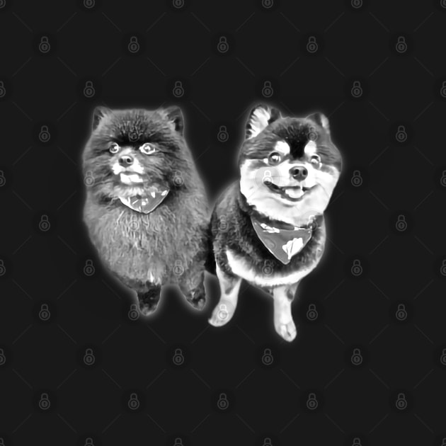 Mini Pomeranian Sketch Art Design by Kawaii Sketch