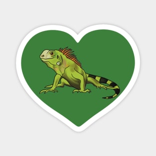 Iguana Heart for Iguana Lovers, Green Magnet