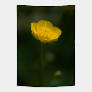 Little Buttercup Tapestry