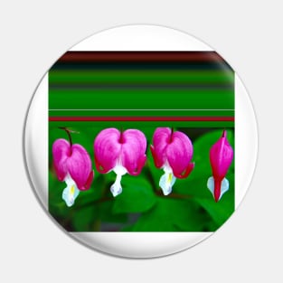 Bleeding Hearts and Stripes Pin