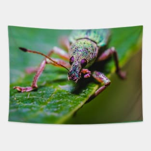 Little Green Leaf Weevil Macro Photography Tapestry