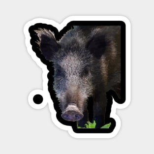 Boar Making Eye Contact Vector Art Magnet