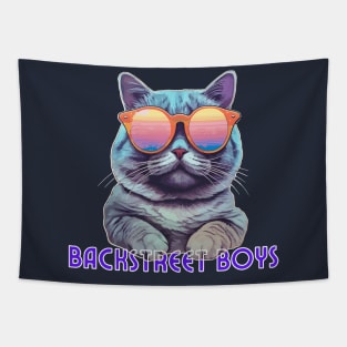 backstreet boys Tapestry