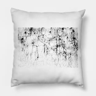 Cerebral cortex nerve cells (C018/0062) Pillow