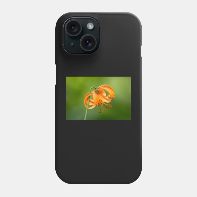 Tiger Lily Phone Case by EugeJ