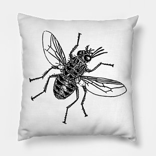 Fly Pillow