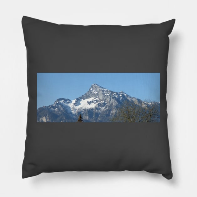 Alps 9 Pillow by NorthTees