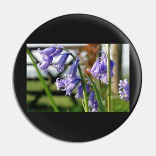 English Bluebells Pin