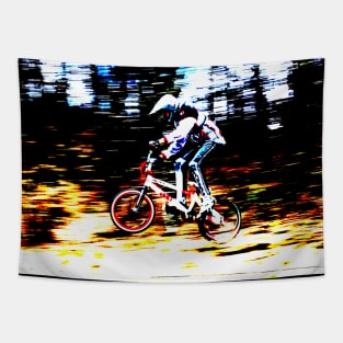 bmx Tapestry