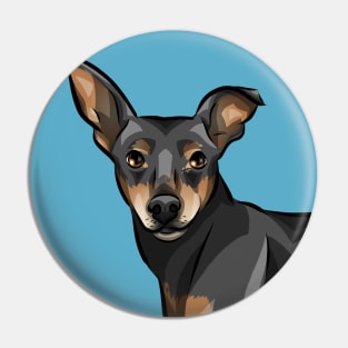 Cute miniature pinscher dog Pin