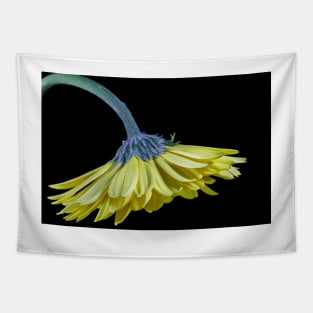 Yellow Gerbera Daisy Tapestry