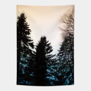 Retro Sunsets Tapestry