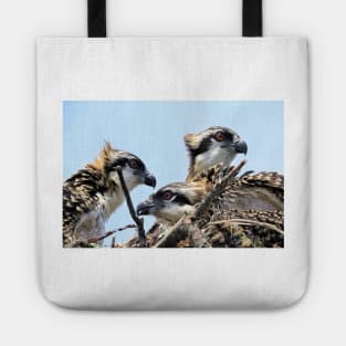 Osprey Family Tote