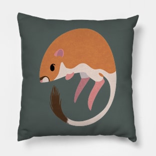 Kangaroo Rat Pillow