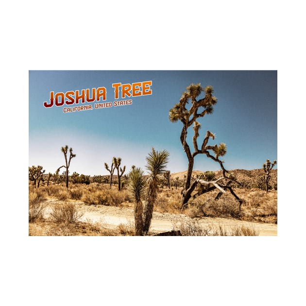 Joshua Tree National Park by Gestalt Imagery