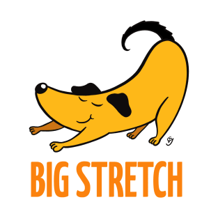 BIG Stretch T-Shirt