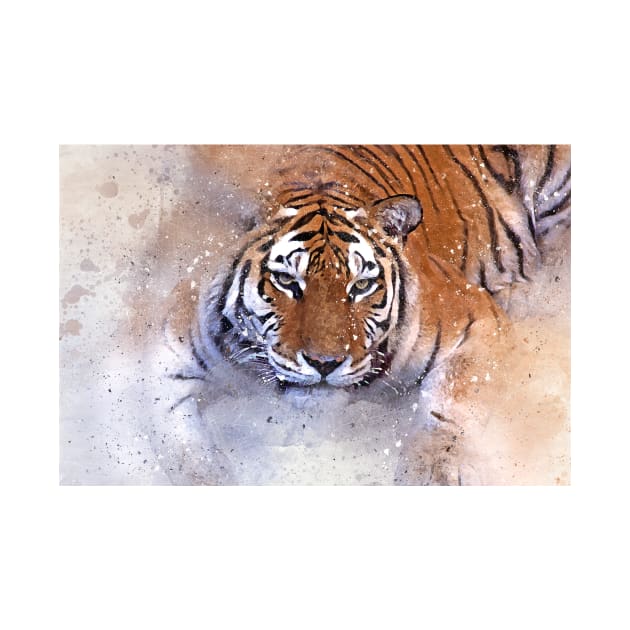 Tiger Wild Animal Safari Africa Jungle Feline by Cubebox