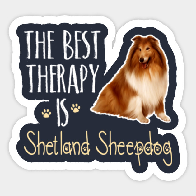 The Best Therapy Is Shetland Sheepdog