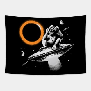 Total Solar Eclipse Tapestry