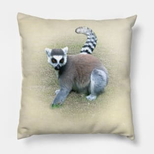 Ring-tailed lemur Pillow