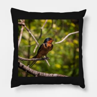 Barn Swallow Singing in a Tree Pillow